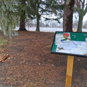 First Day of Winter on the Huron Library and BGSU Firelands Storybook Trail