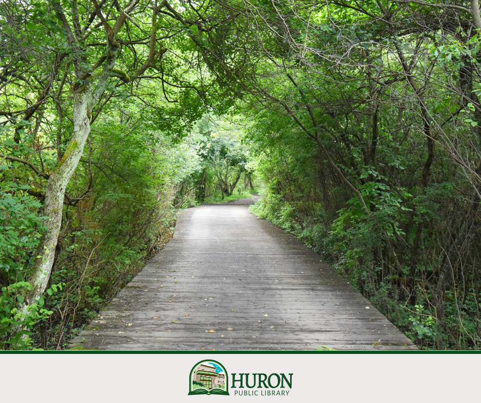 Image of path in forest at Erie Metroparks