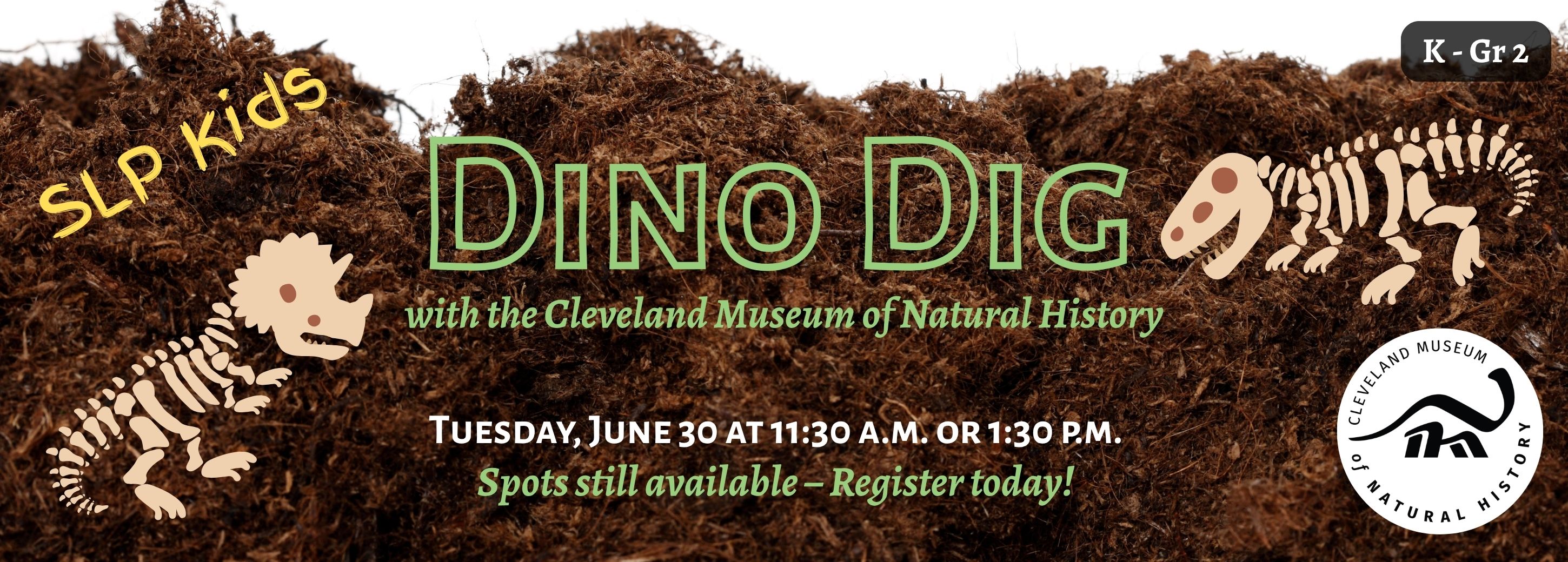 Dino Dig with image of dirt and fossil graphics