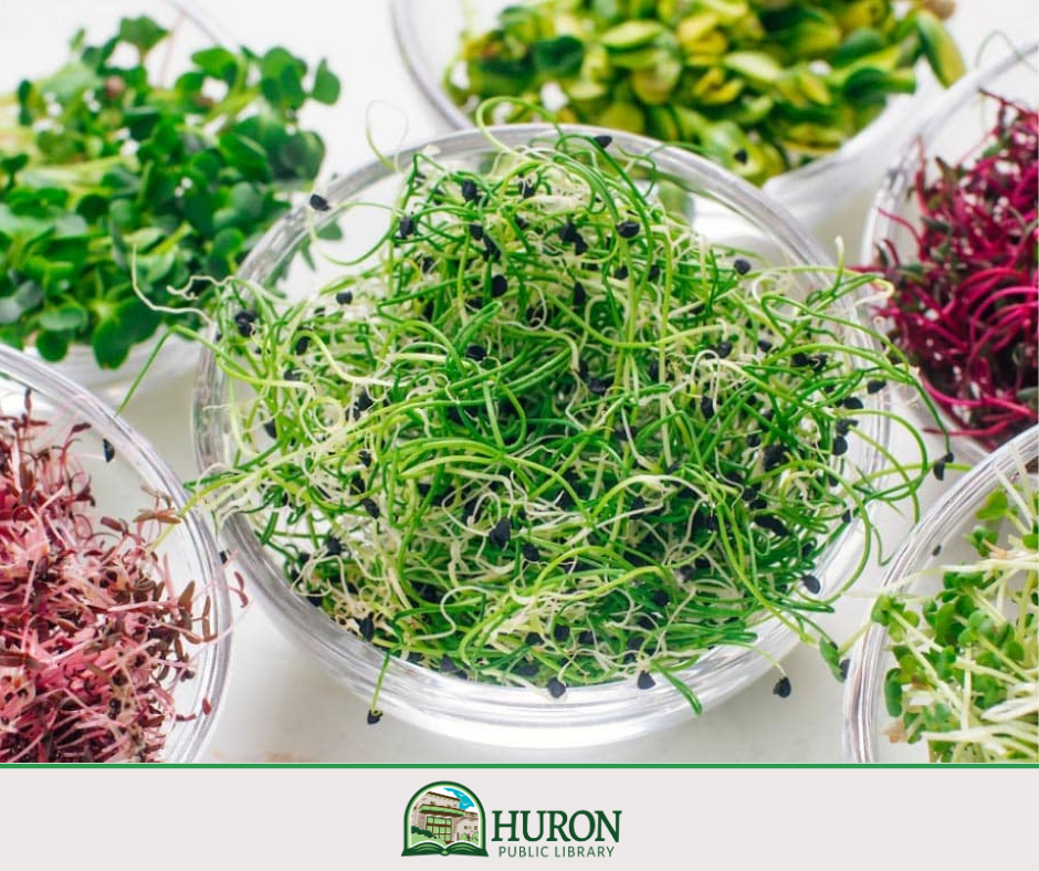 Bowl of microgreens