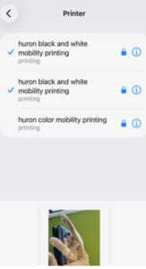 iphone printing step 3 - choose printer
