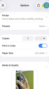 iphone printing step 5 - select print