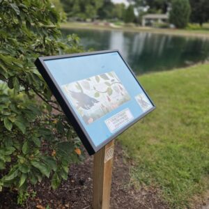 Storywalk at BGSU Firelands Autumn 2026 3